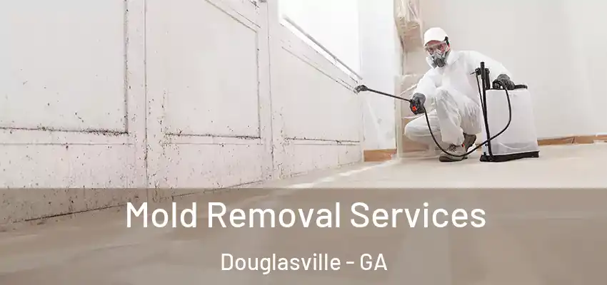  Mold Removal Services Douglasville - GA