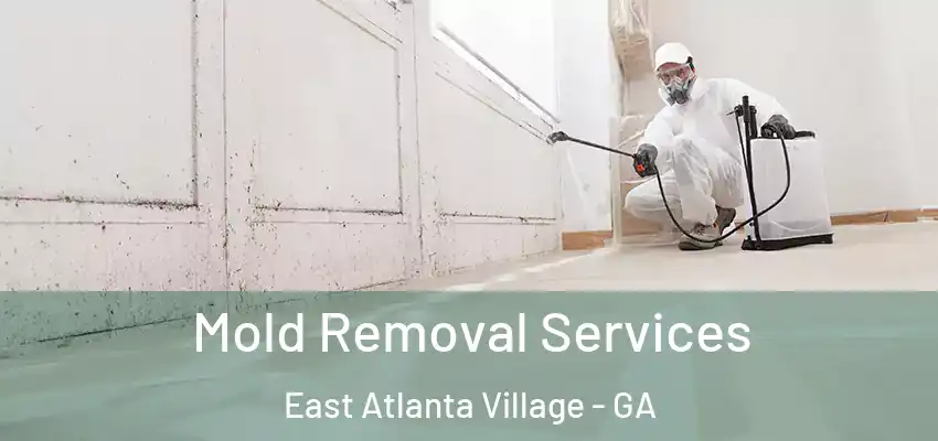 Mold Removal Services East Atlanta Village - GA