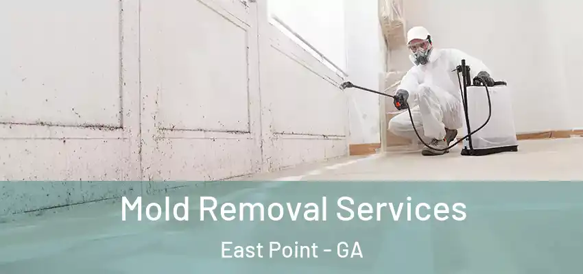 Mold Removal Services East Point - GA
