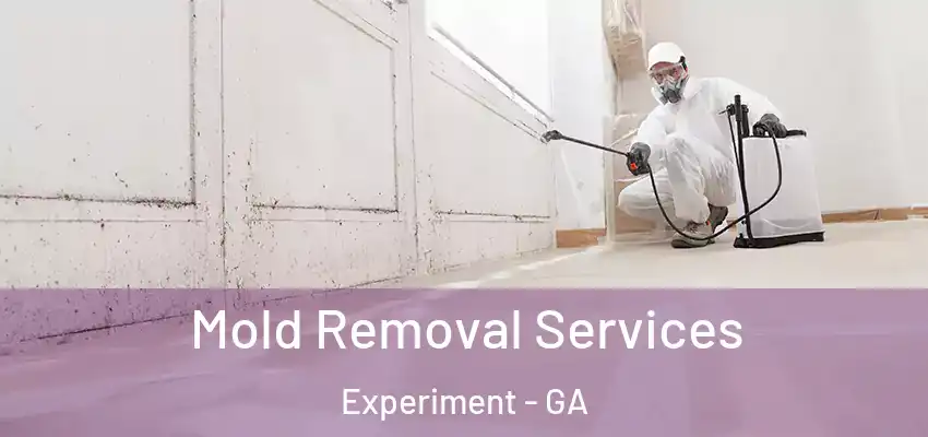  Mold Removal Services Experiment - GA