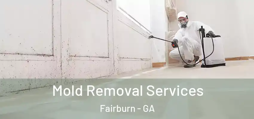  Mold Removal Services Fairburn - GA