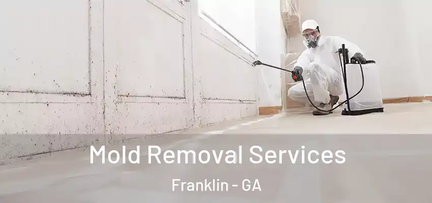 Mold Removal Services Franklin - GA