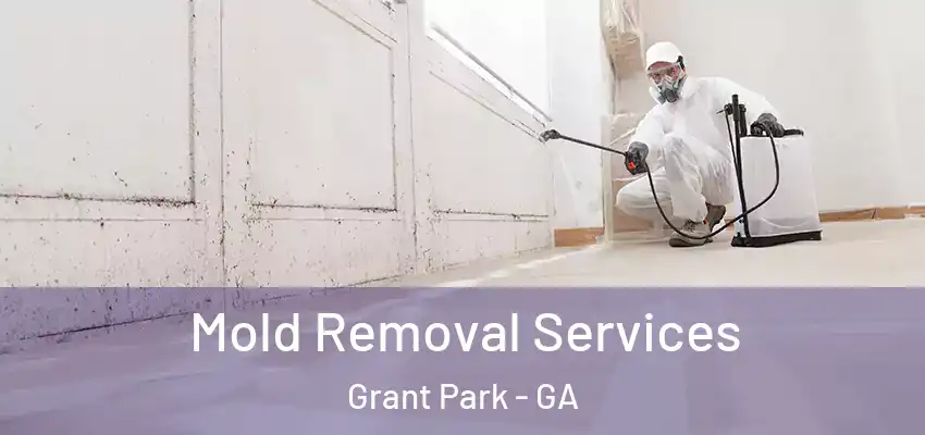  Mold Removal Services Grant Park - GA