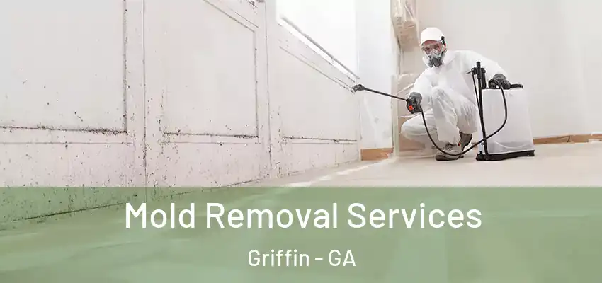  Mold Removal Services Griffin - GA