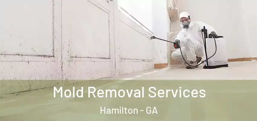  Mold Removal Services Hamilton - GA
