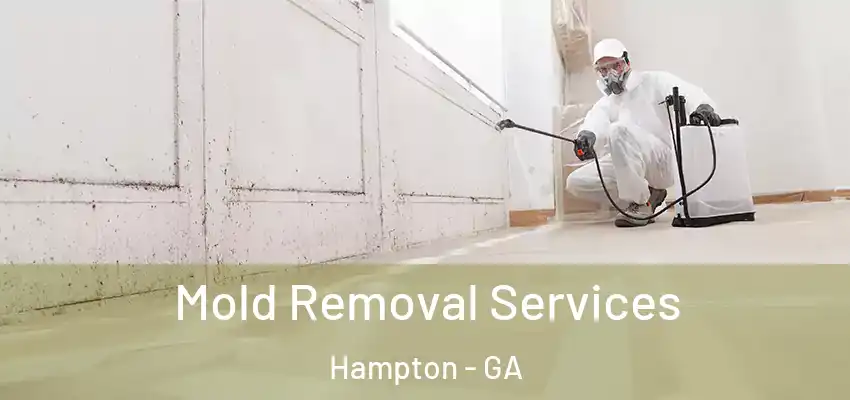 Mold Removal Services Hampton - GA