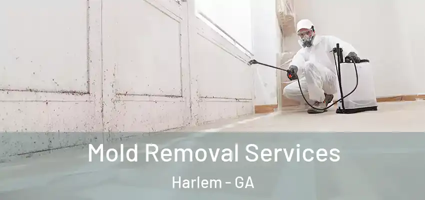  Mold Removal Services Harlem - GA