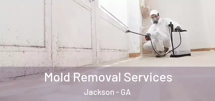 Mold Removal Services Jackson - GA