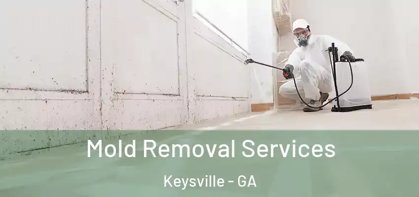 Mold Removal Services Keysville - GA