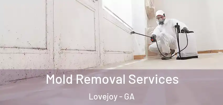 Mold Removal Services Lovejoy - GA