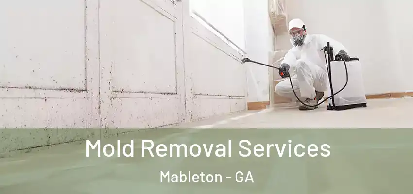  Mold Removal Services Mableton - GA