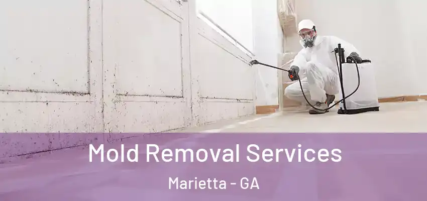  Mold Removal Services Marietta - GA