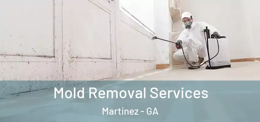 Mold Removal Services Martinez - GA