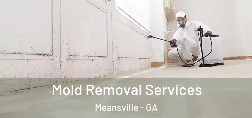 Mold Removal Services Meansville - GA