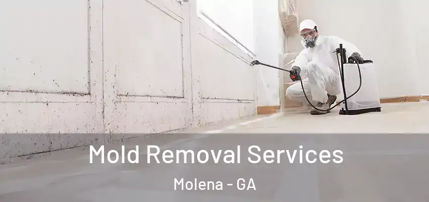 Mold Removal Services Molena - GA