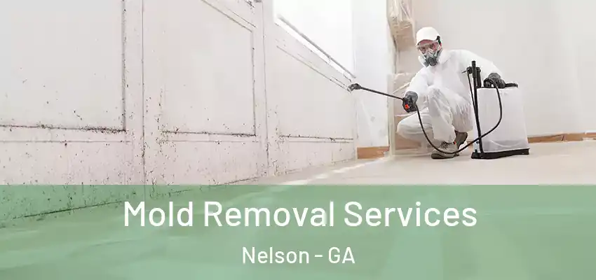  Mold Removal Services Nelson - GA