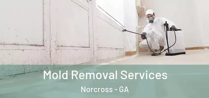Mold Removal Services Norcross - GA