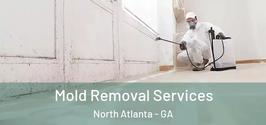  Mold Removal Services North Atlanta - GA