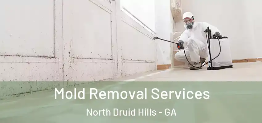  Mold Removal Services North Druid Hills - GA