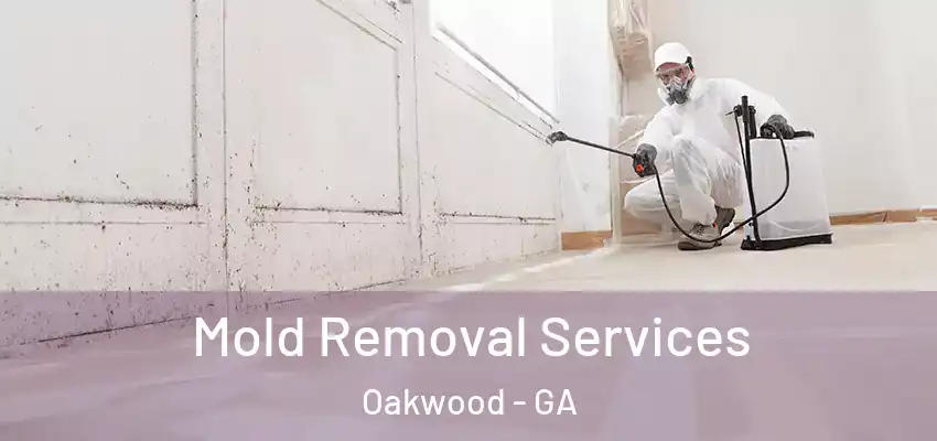  Mold Removal Services Oakwood - GA