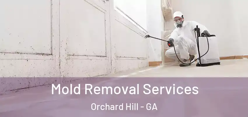  Mold Removal Services Orchard Hill - GA