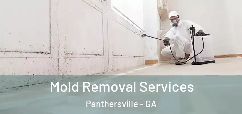  Mold Removal Services Panthersville - GA