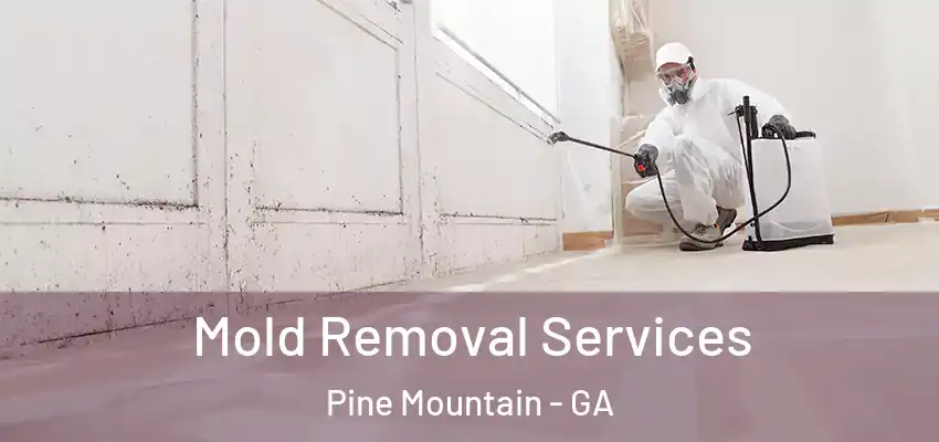 Mold Removal Services Pine Mountain - GA