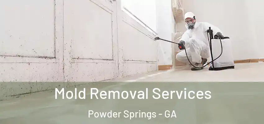  Mold Removal Services Powder Springs - GA