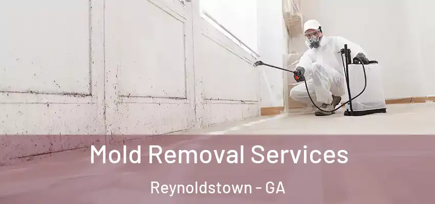 Mold Removal Services Reynoldstown - GA