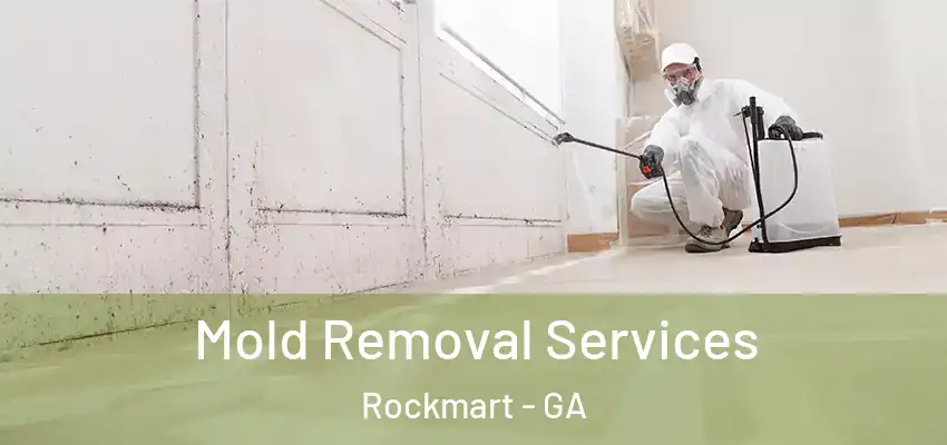  Mold Removal Services Rockmart - GA