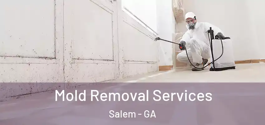 Mold Removal Services Salem - GA