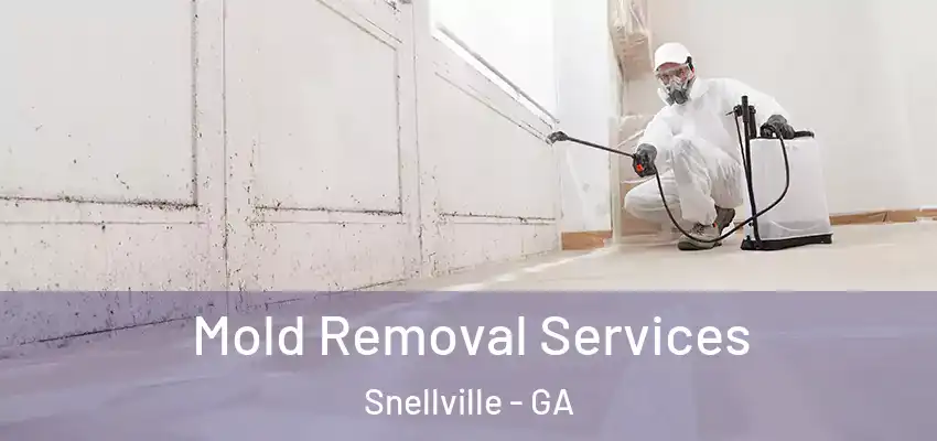 Mold Removal Services Snellville - GA