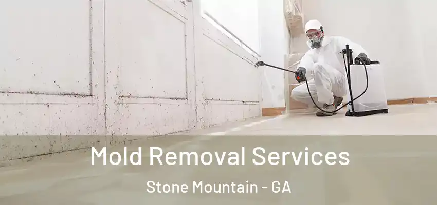 Mold Removal Services Stone Mountain - GA