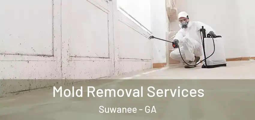  Mold Removal Services Suwanee - GA