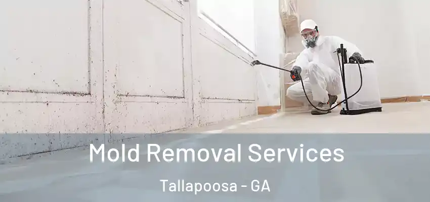  Mold Removal Services Tallapoosa - GA