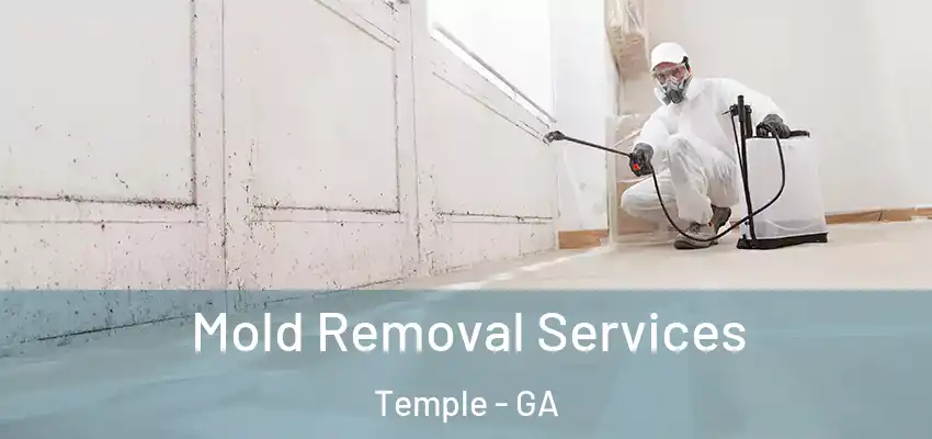  Mold Removal Services Temple - GA