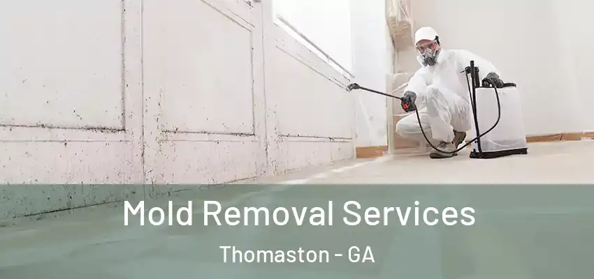 Mold Removal Services Thomaston - GA