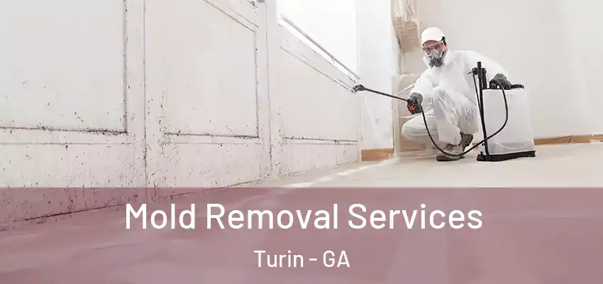 Mold Removal Services Turin - GA