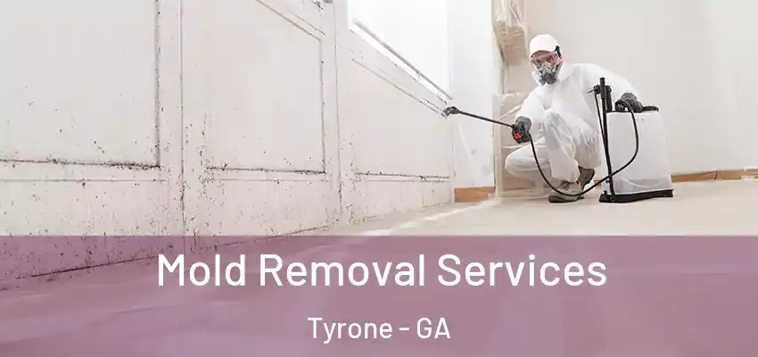 Mold Removal Services Tyrone - GA