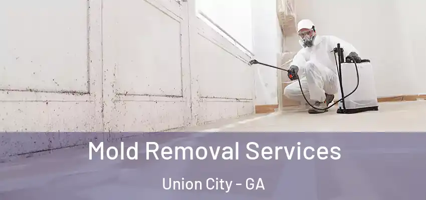  Mold Removal Services Union City - GA