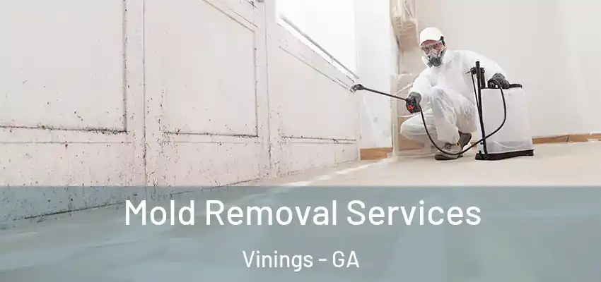  Mold Removal Services Vinings - GA