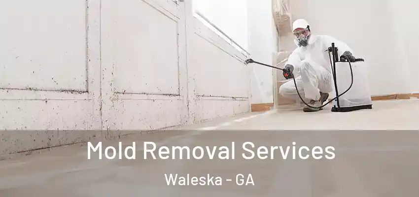  Mold Removal Services Waleska - GA