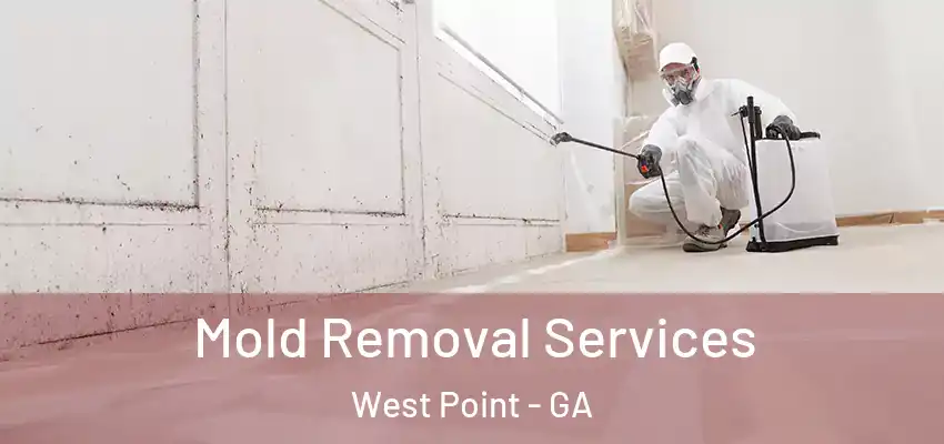  Mold Removal Services West Point - GA