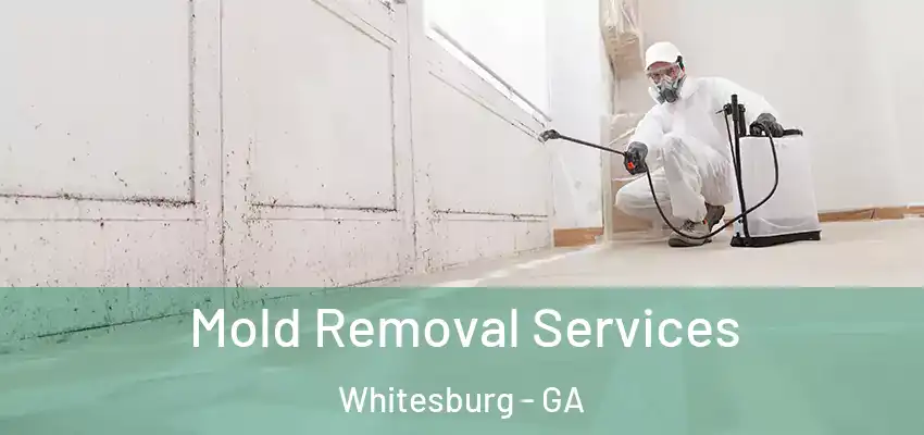  Mold Removal Services Whitesburg - GA
