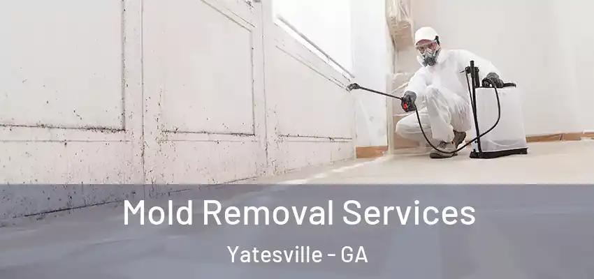  Mold Removal Services Yatesville - GA