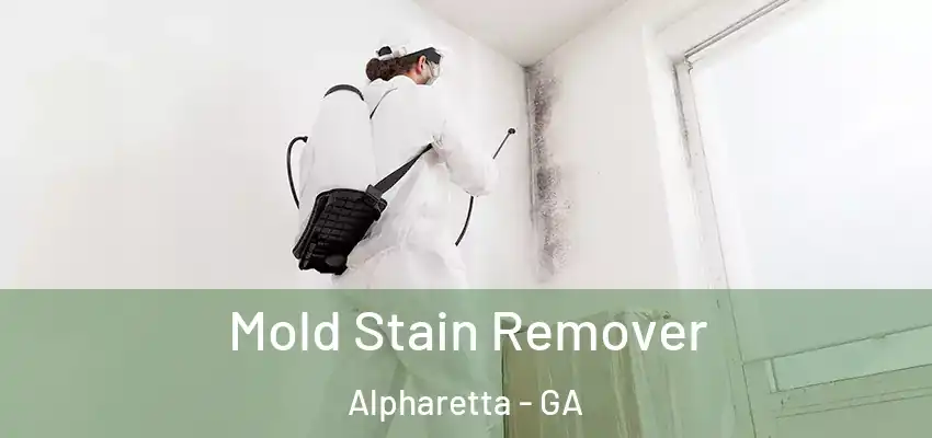  Mold Stain Remover Alpharetta - GA