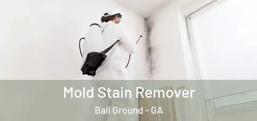 Mold Stain Remover Ball Ground - GA