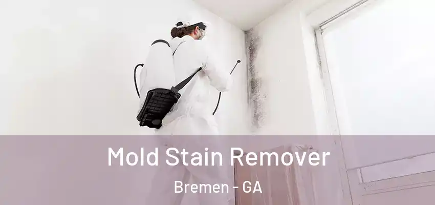 Mold Stain Remover Bremen - GA