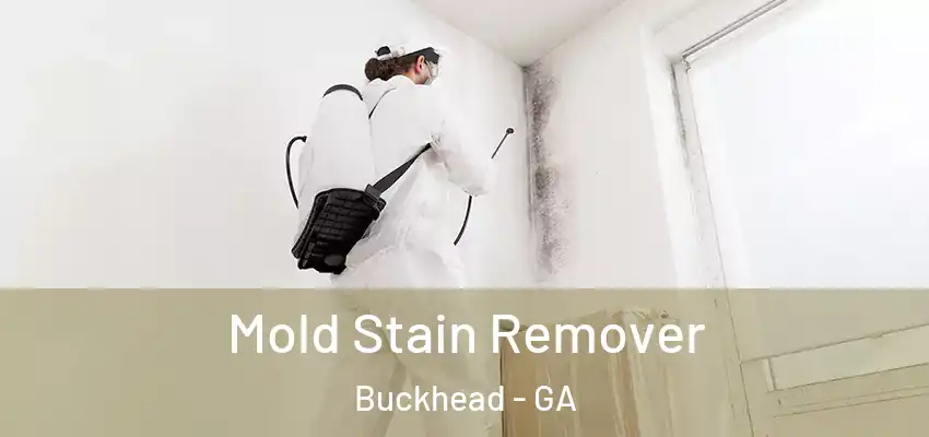 Mold Stain Remover Buckhead - GA