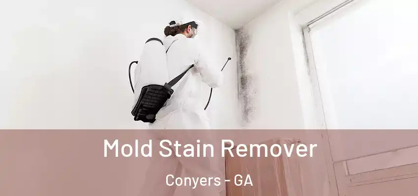  Mold Stain Remover Conyers - GA
